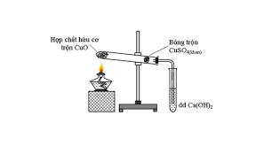 Phân tích định tính hợp chất hữu cơ